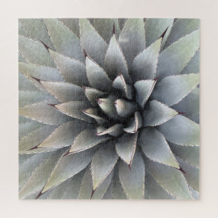 Puzzle Agave Suculento Plant Cactus Sabio verde