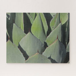 Puzzle Agave verde deja foto botánica al suroeste