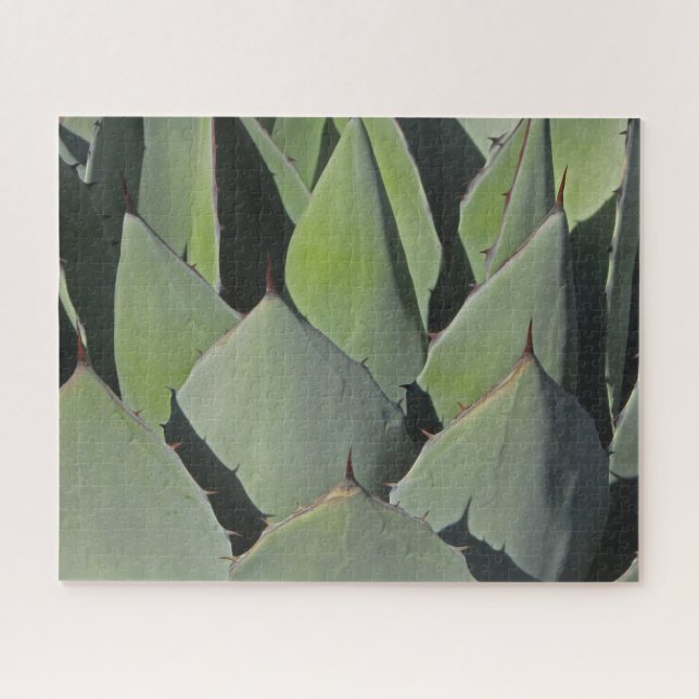 Puzzle Agave verde deja foto botánica al suroeste (Horizontal)