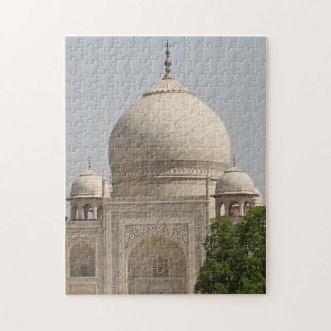 Puzzle Agra Taj Mahal India Palacio. (Vertical)