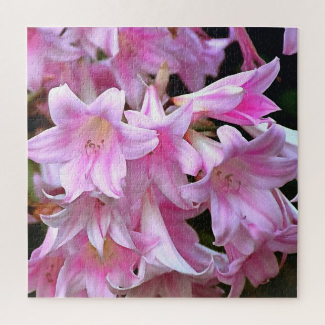Puzzle Agradable Belladonna Amaryllis Lilies (Vertical)