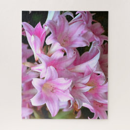 Puzzle Agradable Belladonna Amaryllis Lilies