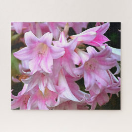 Puzzle Agradable Belladonna Amaryllis Lilies