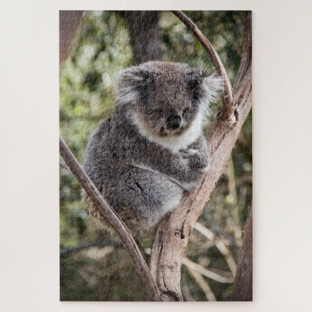 Puzzle Agradable koala en el árbol (Vertical)