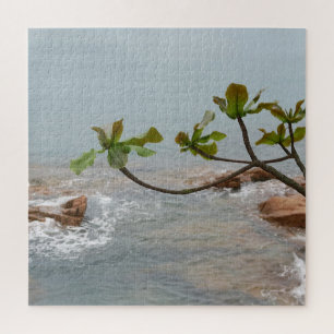 Puzzle agua, romance, paisaje, plantas, cascada, asia