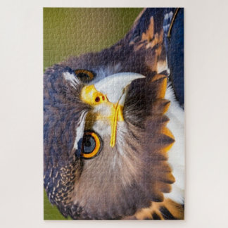 Puzzle Águila 2