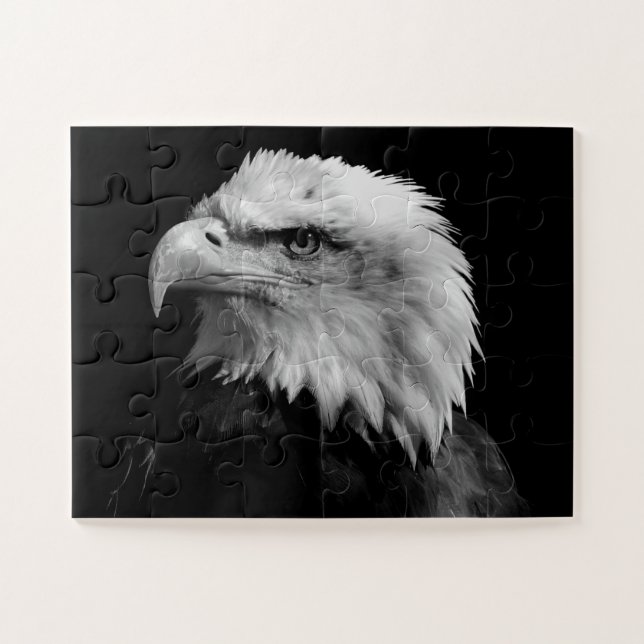 Puzzle Águila blanca y negra - Arte de animales (Horizontal)