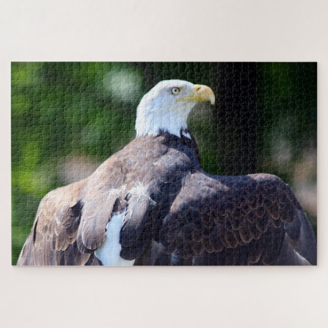 Puzzle Águila calva (Horizontal)