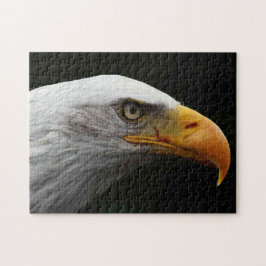 Puzzle Águila calva 11x14 252pc jpa