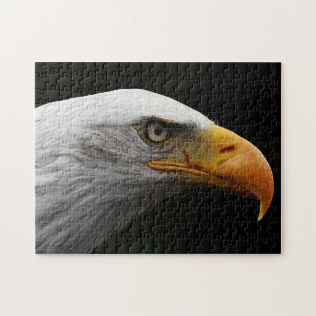 Puzzle Águila calva 11x14 252pc jpa (Horizontal)