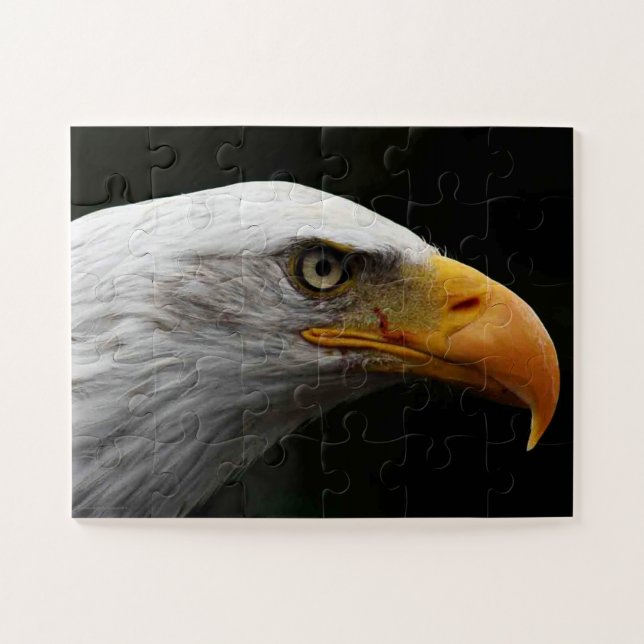 Puzzle Águila calva 11x14 jpcn 30pc (Horizontal)