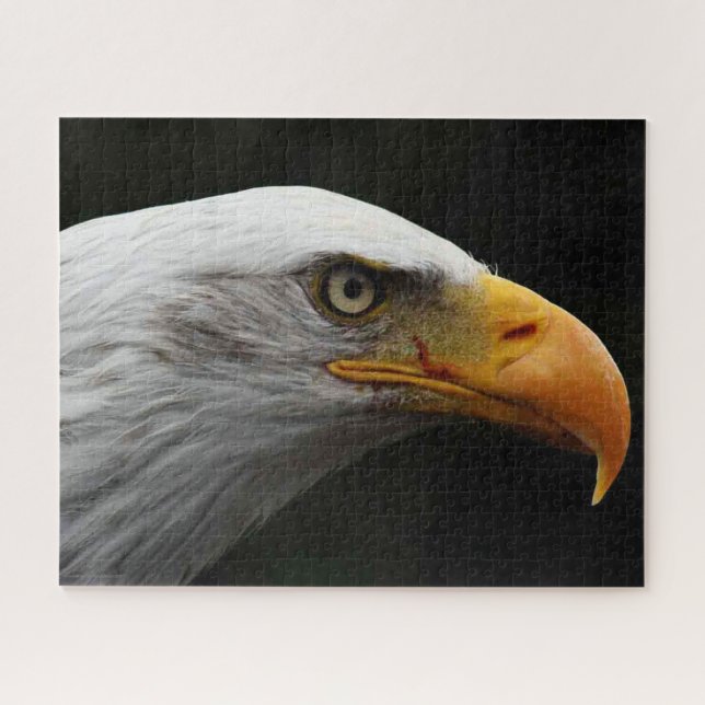 Puzzle Águila calva 16x20 520pc jpcna (Horizontal)