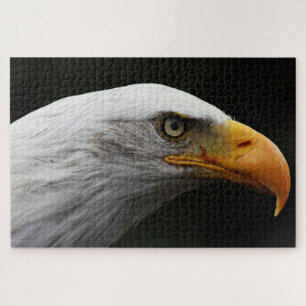 Puzzle Águila calva 20x30 1014pc jpcn