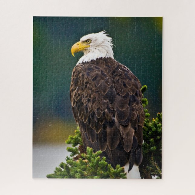 Puzzle Águila Calva Americana Posada (Vertical)