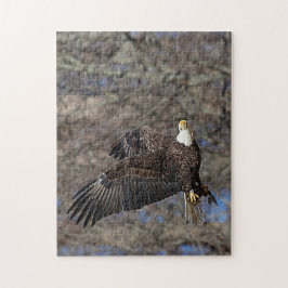 Puzzle Águila calva con bagre