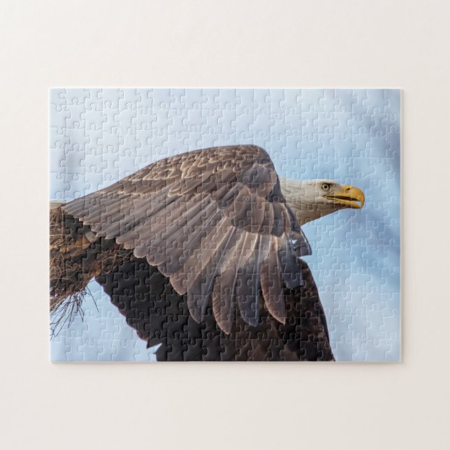Puzzle Águila calva con un fajo de heno (Horizontal)