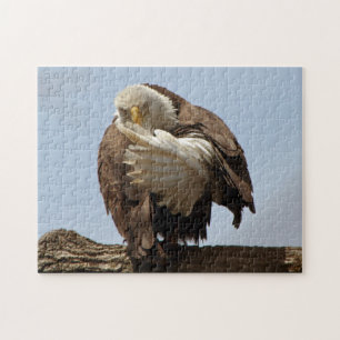 Puzzle Águila calva (El pájaro que da el pájaro)