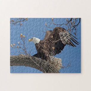 Puzzle Águila calva en una rama de árbol