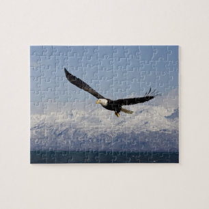 Puzzle Águila calva en vuelo, Haliaeetus leucocephalus, 3
