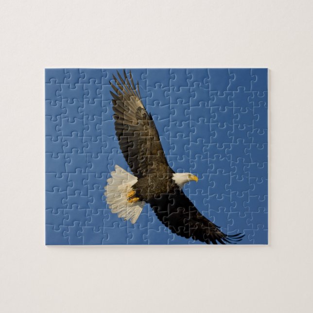 Puzzle Águila calva, Haliaeetus leucocephalus, Homer, (Horizontal)
