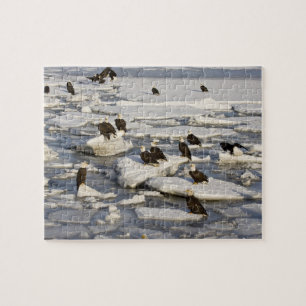 Puzzle Águila calva, Haliaeetus leucocephalus, Homer, 2