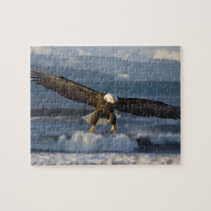 Puzzle Águila calva, Haliaeetus leucocephalus, Homer, 3