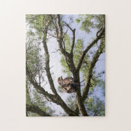 Puzzle Águila Calva Juvenil En Un Árbol De Pinos