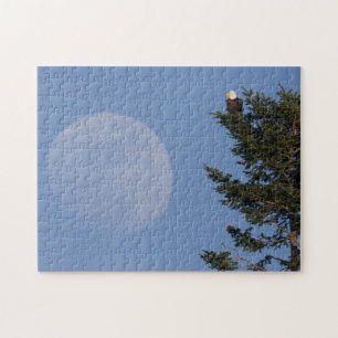 Puzzle Águila calva Luna llena creciente