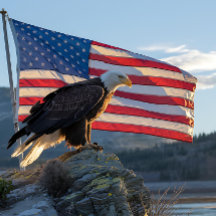 Águila calva patriótica frente a la bandera estado