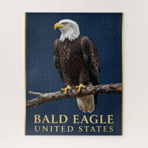 Puzzle 🦅 Águila Calva Salvaje Americana