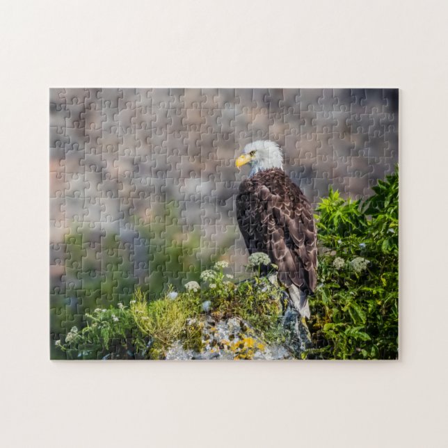 Puzzle Águila calva sentada en la roca (Horizontal)