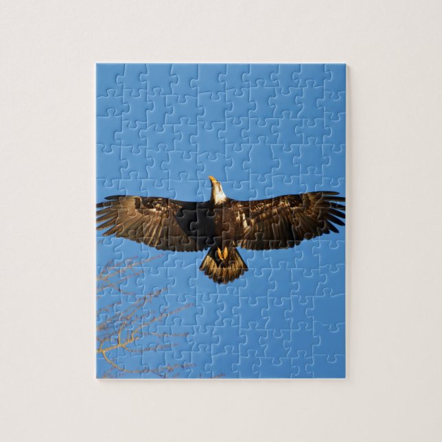 Puzzle Águila calva volando1 (Vertical)