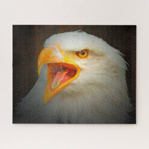 Puzzle Águila de cola blanca.
