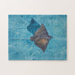 Puzzle Aguila Manchada - Océano