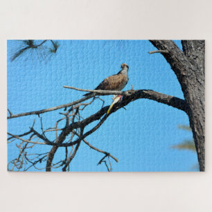 Puzzle Águila pescadora en la naturaleza