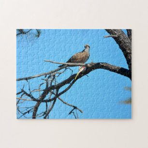 Puzzle Águila pescadora en la naturaleza
