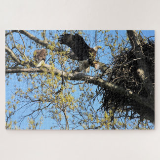 Puzzle Aguilas calvas anidando