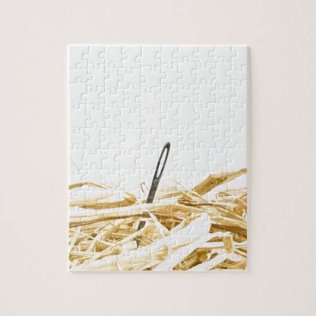 Puzzle aguja en un haystack (Vertical)