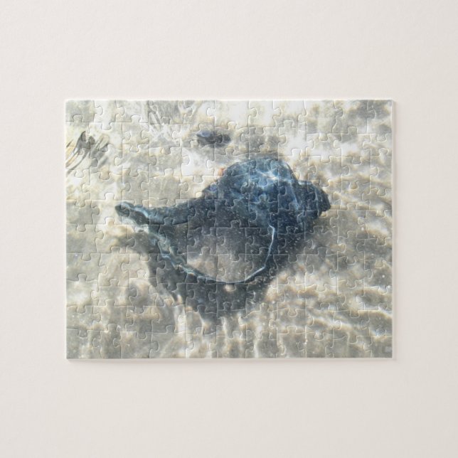 Puzzle Aguja negra (Horizontal)