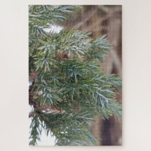 Puzzle Agujas de árbol evergreen en detalles de invierno