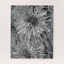 Puzzle Agujas de pino cubiertas con escarcha en blanco y 