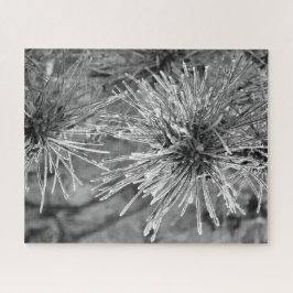 Puzzle Agujas de pino cubiertas con escarcha en blanco y