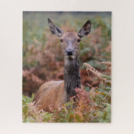 Puzzle Ahora Tienes Mi Atención - 16x20 - 520 piezas