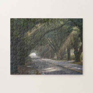 Puzzle Aiken, SC, South Boundary Ave. Túnel Oak en vivo
