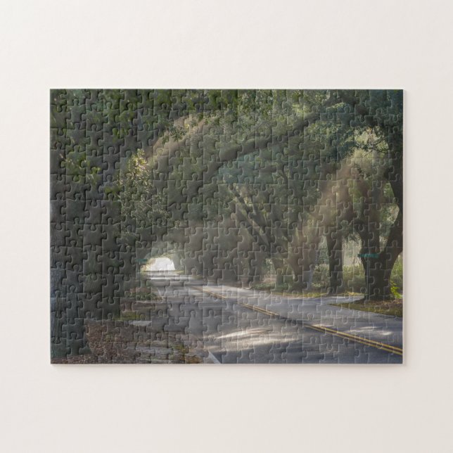 Puzzle Aiken, SC, South Boundary Ave. Túnel Oak en vivo (Horizontal)