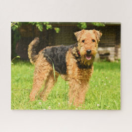 Puzzle Airedale Terrier Perro Cachorro