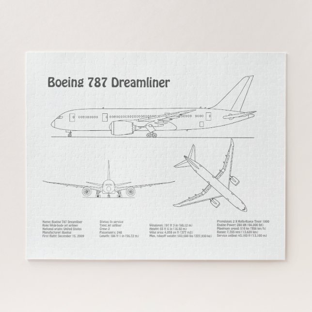 Puzzle Airliner 787 - Airplane Blueprint Drawing Plans BD (Horizontal)