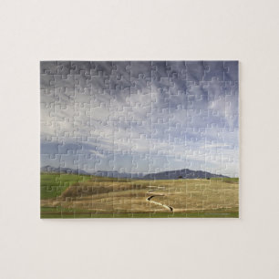 Puzzle Ajardine con los campos de trigo, Grabouw,