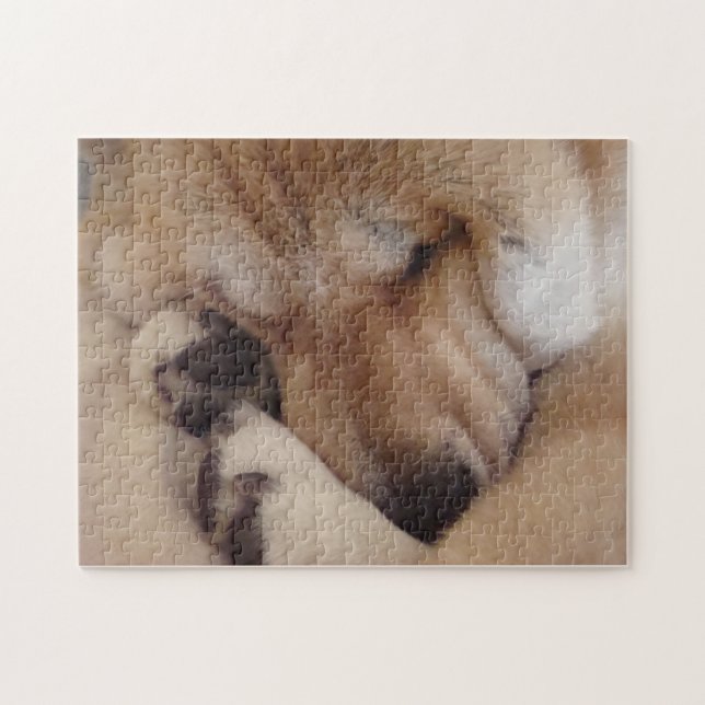 Puzzle akita durmiendo pastas muy lindo perro (Horizontal)
