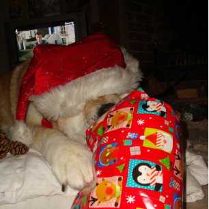 Puzzle akita gracioso usando perro navidad lindo con somb